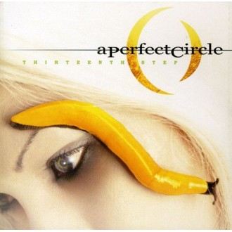 A Perfect Circle - Thirteenth Step